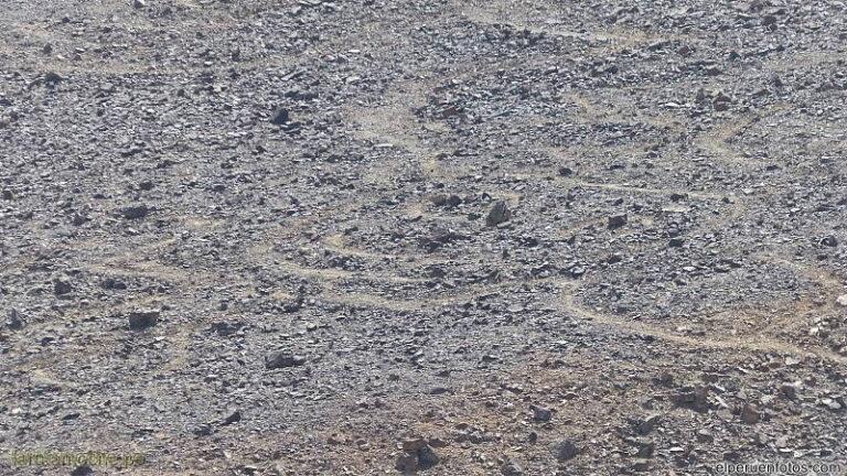 pampa colorada 022